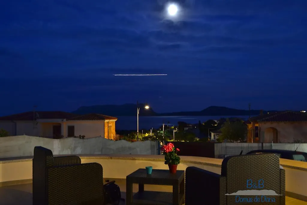 ***  Bed and Breakfast Domus de Diana Olbia Italia