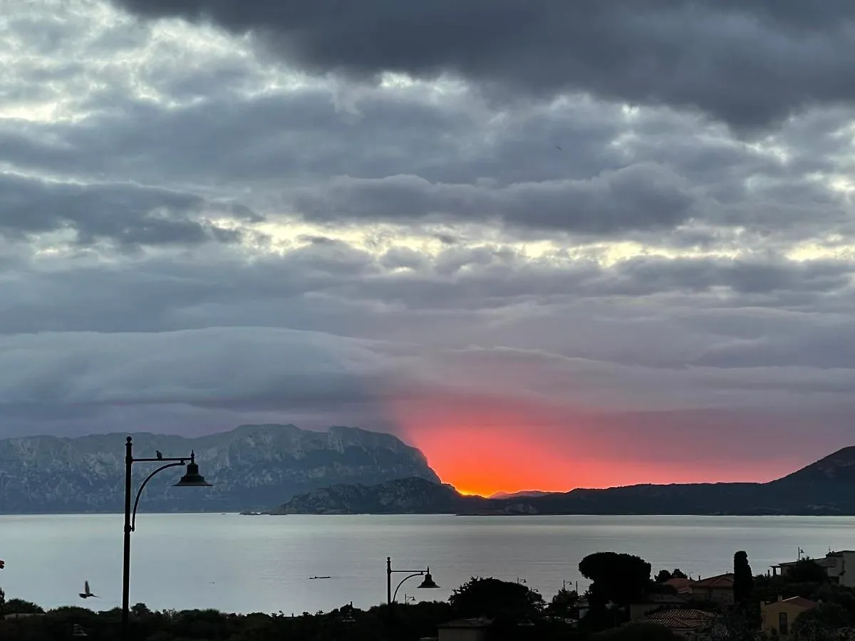 Bed and Breakfast Domus de Diana Olbia Italia